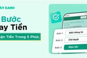 vay-tien-online-vay-xanh